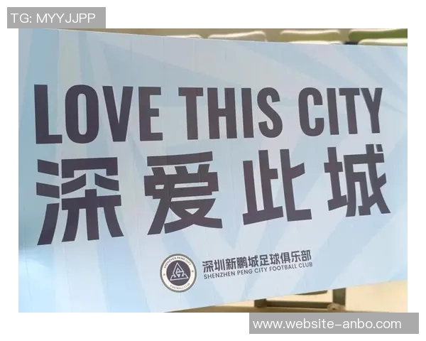 深圳新鹏城保级形势乐观趋势显示即将成功上岸