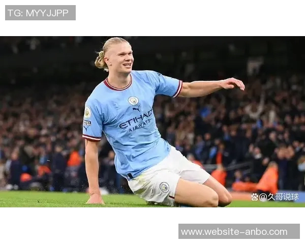 本赛季五大联赛最佳球员次数统计：帕斯凯恩哈兰德并列第一